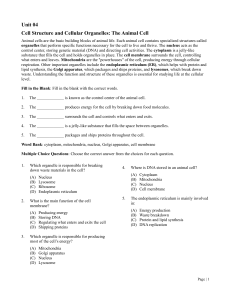 Animal Cell Structure & Organelles Worksheet