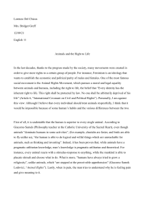 Animal Rights: A High School Essay