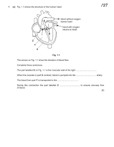 High School Biology, Chemistry & Physics Exam Questions | Practice Paper