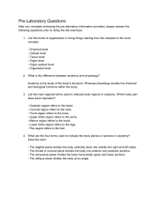 Anatomy & Physiology Pre-Lab Questions