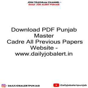 Punjab Master Cadre Previous Papers PDF Download
