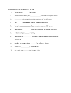 Pronoms Relatifs Fran&ccedil;ais : Exercice Ce Qui, Ce Que, Qui, Que