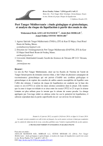 Port Tanger Med : &Eacute;tude g&eacute;ologique et g&eacute;otechnique, analyse du risque de liqu&eacute;faction