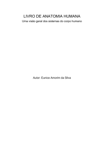 Livro de Anatomia Humana: Sistemas do Corpo