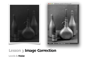 Image Correction: Levels & Noise in Photoshop