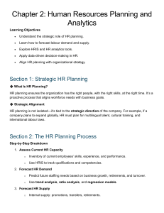 Human Resources Planning & Analytics: Strategy, Forecasting & Tools