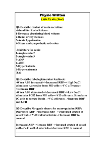 Physiology Study Notes: Renal & Reproductive Systems Q&A