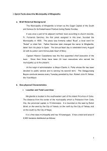 Minglanilla, Cebu: Quick Facts & Demographics Report