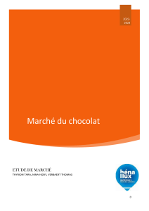 Etude DESK chocolat