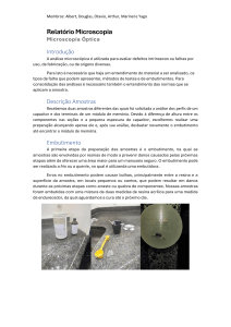 Relat&oacute;rio de Microscopia: An&aacute;lise de Capacitor e M&oacute;dulo de Mem&oacute;ria