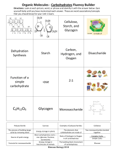 Carbohydrates Fluency Builder: Organic Molecules Worksheet
