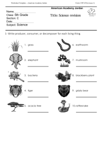 5th Grade Science Revision Worksheet: Producers, Consumers, Decomposers