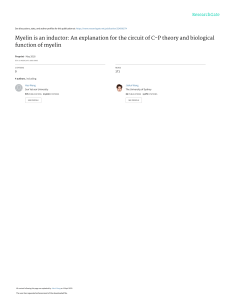 Myelin as Inductor: C-P Theory & Neural Signal Propagation