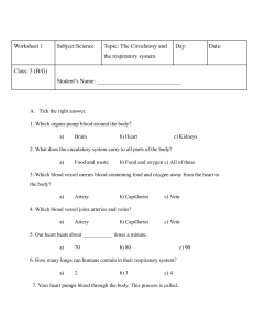 Science Worksheet: Circulatory & Respiratory Systems for Grade 5