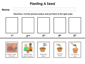 Planting A Seed Activity Worksheet | Life Science for Kids