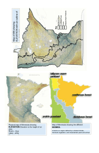Minnesota Elevation & Biomes Map