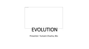 Evolution: Theories of Life's Origin & Natural Selection