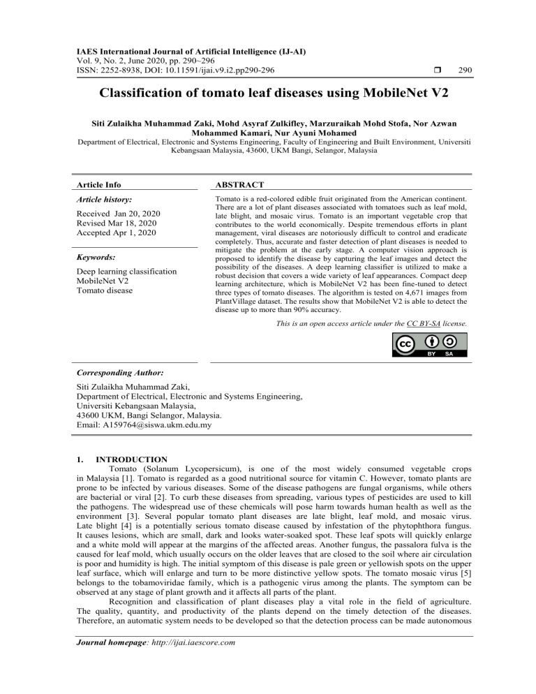Tomato Leaf Disease Classification with MobileNet V2
