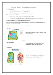 Plant Cells: Structure & Function - Middle School