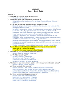 HSCI 420 Exam 1 Study Guide: Neurocranium, Cranial Nerves & Anatomy
