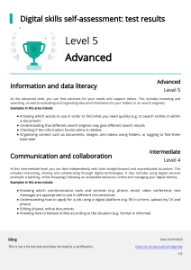 Digital Skills Self-Assessment: Test Results & Levels
