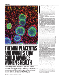 Mini Placentas & Ovaries: Advancing Women's Health with Organoids