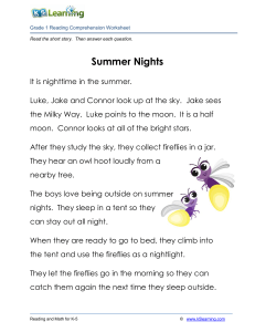 Grade 1 Reading Comprehension Worksheet: Summer Nights Story & Questions