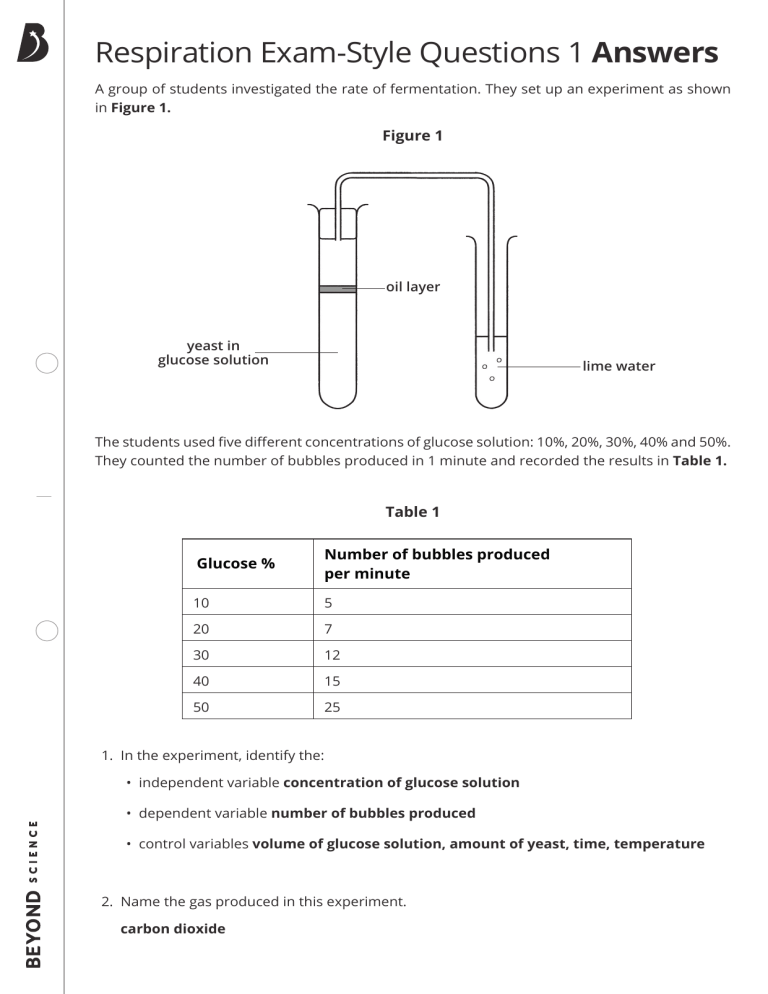 Respiration & Fermentation Exam Questions with Answers