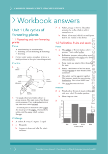 Cambridge Primary Science 5 Teacher's Resource Workbook Answers