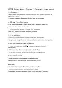 IGCSE Biology: Ecology & Human Impact Notes