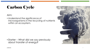 Carbon Cycle: Microorganisms & Nutrient Recycling
