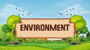 Environment: Definition, Importance, Issues & Solutions