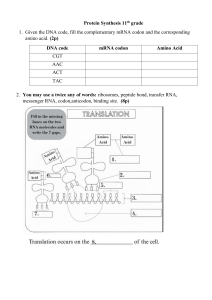 Protein Synthesis 11th Grade Quiz: DNA, mRNA, Amino Acids & Translation