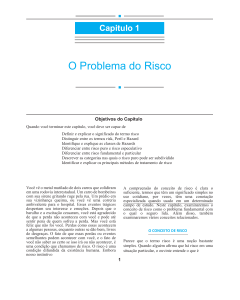 Cap&iacute;tulo 1: O Problema do Risco - Gest&atilde;o de Riscos