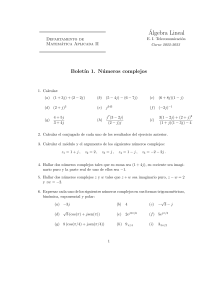 Ejercicios de N&uacute;meros Complejos: &Aacute;lgebra Lineal