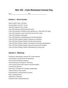 Biol 183 Cells Worksheet Answer Key | Biology Study Guide