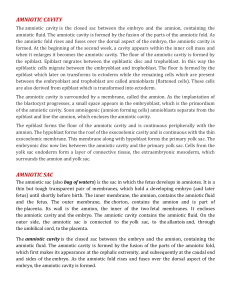 Amniotic Cavity, Sac & Fluid: Development, Contents, Functions