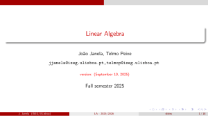 Linear Algebra Slides: Matrices, Systems, Eigenvalues