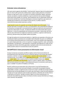 Entender c&oacute;mo entendemos: Procesamiento visual y cognici&oacute;n