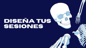Guía de Diseño de Sesiones de Entrenamiento: Volumen, Frecuencia, Ejercicios