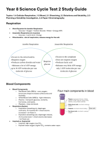 Year 8 Science Cycle Test 2 Study Guide: Respiration, Blood, Solubility