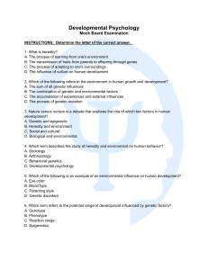 Developmental Psychology Mock Board Exam: Theories & Ethics Questions