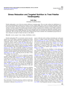 Patellar Tendinopathy: Nutrition & Rehab Case Study