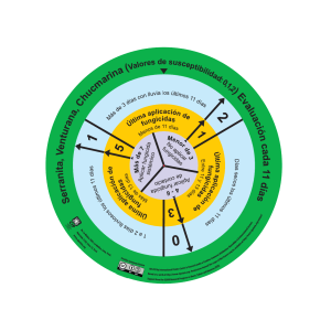 Juego de ruedas, imprimir.