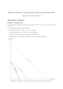 Microeconomics Homework Solutions: Budget Lines & Demand