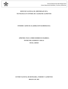 Informe Elaboraci&oacute;n Hamburguesas - Control Calidad Alimentos