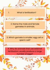 Animal Fertilisation & Reproduction: Biology Questions & Answers