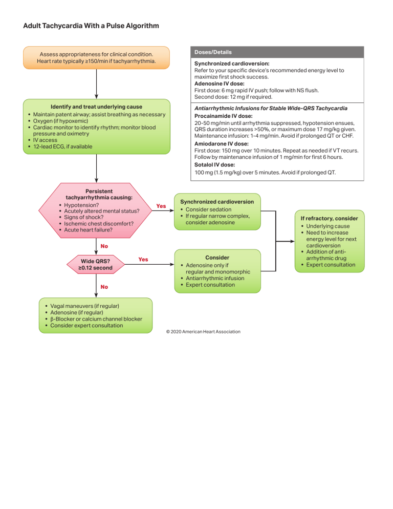 Adult Tachycardia Algorithm: Diagnosis & Treatment Guide