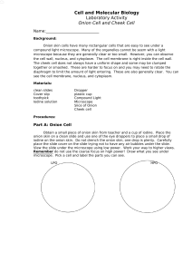 Onion & Cheek Cell Lab Activity: Cell & Molecular Biology
