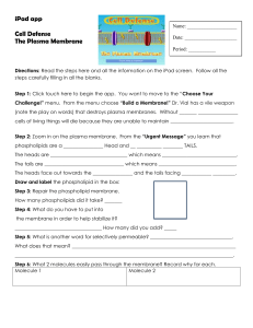 Cell Defense Plasma Membrane Worksheet: Biology App Activity